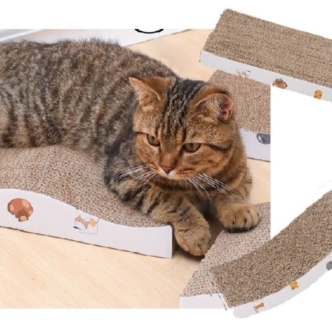 1c10d3a44e5b4ea1ff47b8bbe67f0bbc_653a21cfe134b__1200x1200