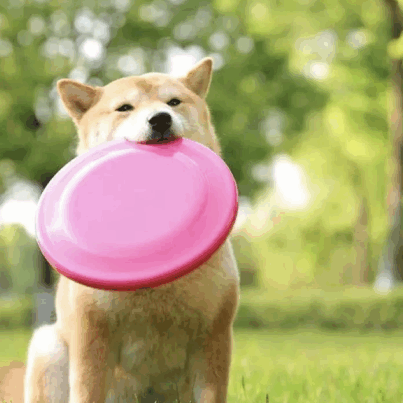 Screenshot 2568-06-30 at 19.19.09