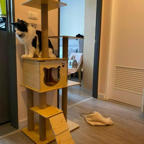 d6ed5bfc7c7a47f9f785c5baec5f8aad