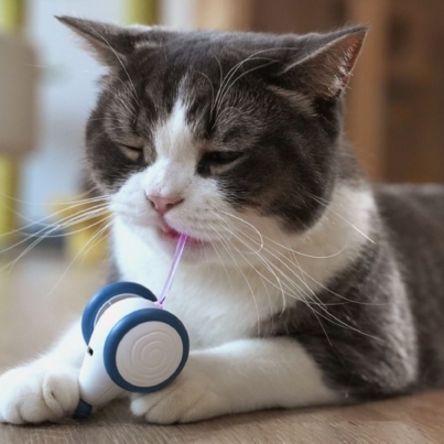 pando-cat-toy-automatic-wicked-mouse-06_6594d3e10db6c__1200x1200