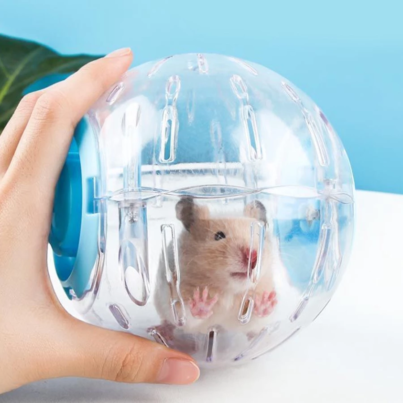 sg-11134201-7rbk5-lo0u56c5n99ie0@resize_w900_nl