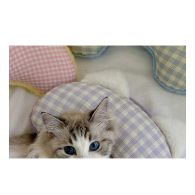 sg-11134201-7rffx-m9tl93nfviope3@resize_w900_nl