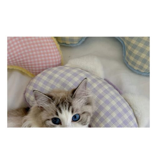 sg-11134201-7rffx-m9tl93nfviope3@resize_w900_nl