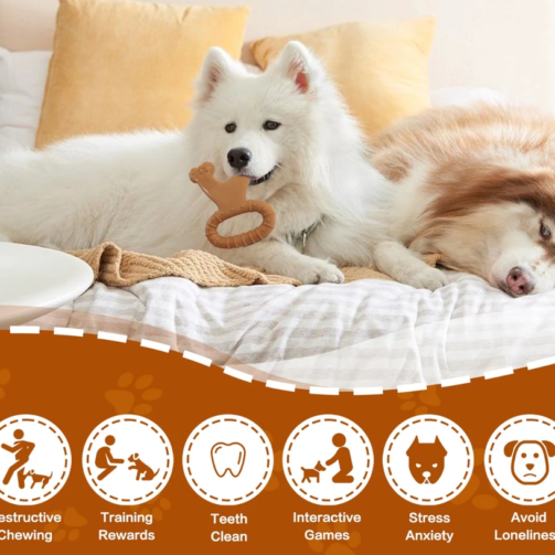 sg-11134301-7rcf6-ltnvrpn8dy286c@resize_w900_nl