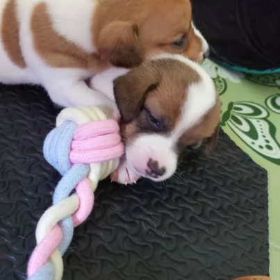 th-11134103-22110-f08a0rpoaakv04