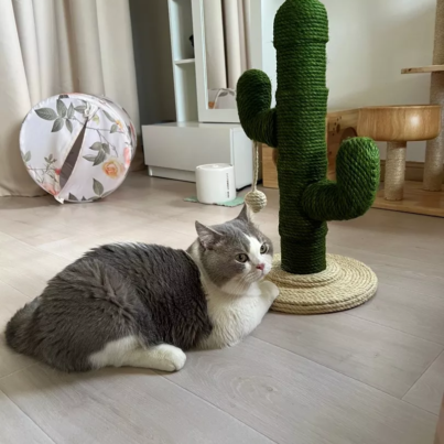 th-11134103-23010-wm031o8ewxlvf5