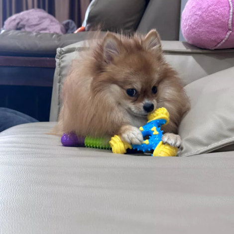 th-11134103-7r98o-lvq2t6zihrcqf1