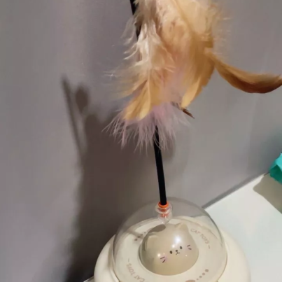 th-11134103-7rase-m8amee8zomf0f0