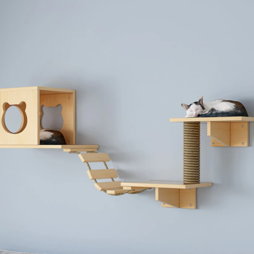 th-11134207-7qukx-liif5y6ji12gc4@resize_w900_nl