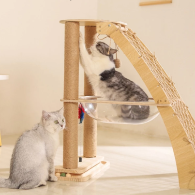 th-11134207-7ras9-m3u6p51z9juj9b@resize_w900_nl