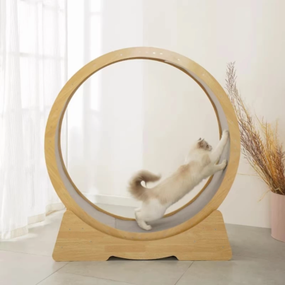 th-11134207-7ras9-m7hp4zocb4vz70@resize_w900_nl