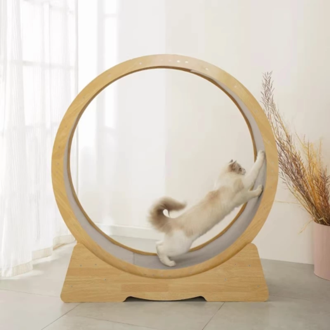 th-11134207-7ras9-m7hp4zocb4vz70@resize_w900_nl