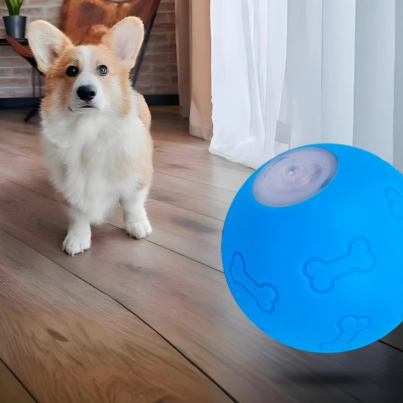 th-11134207-7rase-m8epkaqvikwfc9@resize_w900_nl