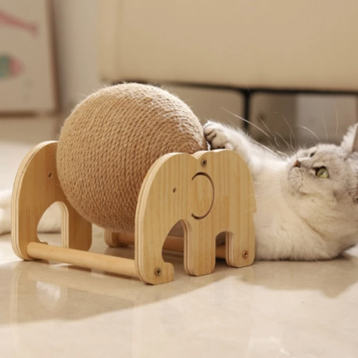 th-11134207-7rasj-m7hqyrbhjsdfe1@resize_w900_nl