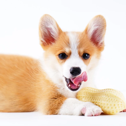 th-11134207-7rasl-m7j86f4pd35ca5@resize_w900_nl