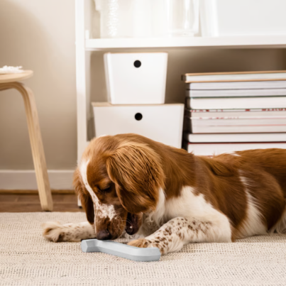 utsadd-dog-toy-grey-blue__1355592_pe953187_s5.jpg.webp